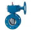 public://uploads/media/HP250II_Butterfly_Valve.jpg